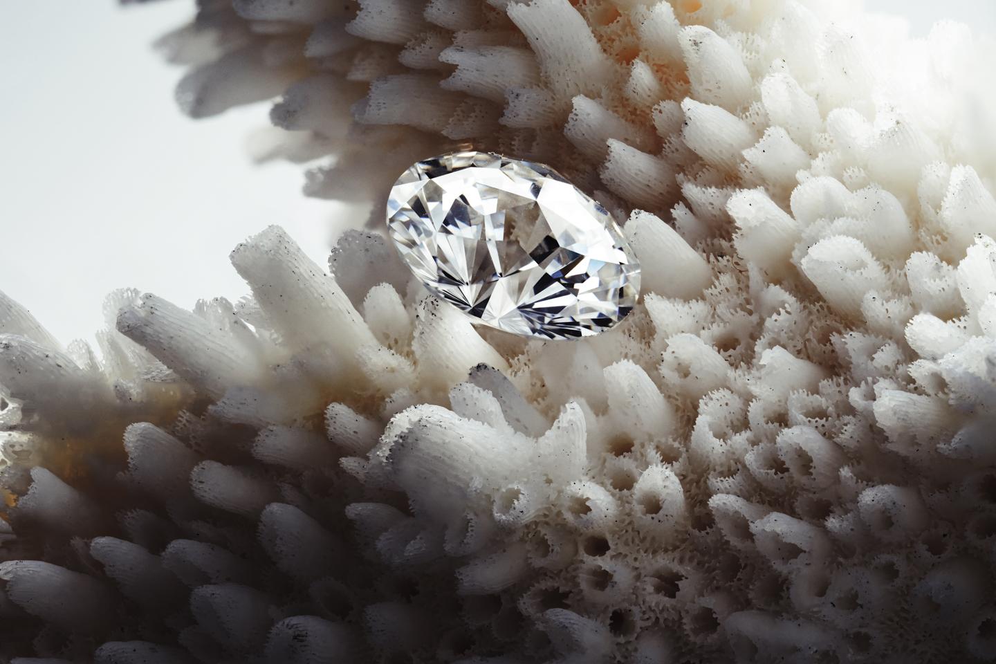 培育钻石的兴起——你会佩戴实验室培育钻石吗？